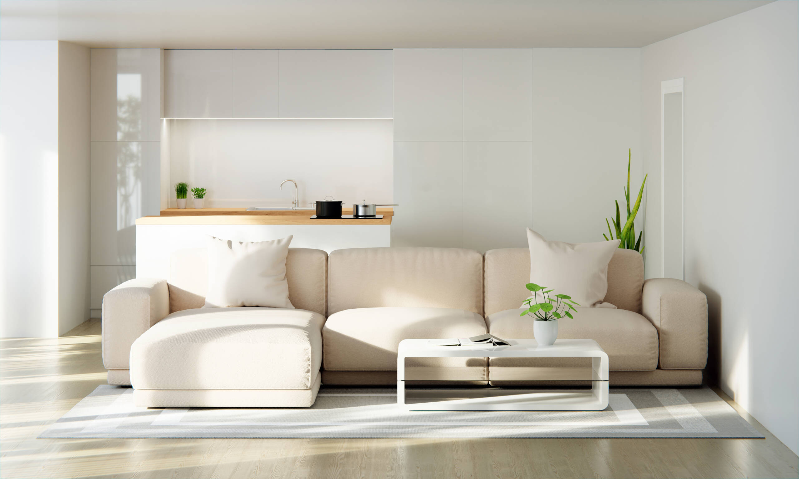Remodelaciones 2 sofa marron salon blanco espacio copiar scaled
