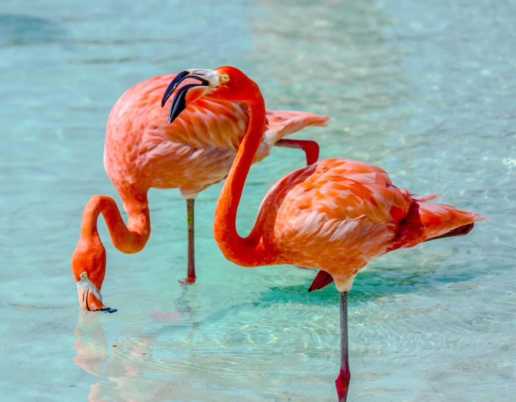 Romantic evenings 3 post 2